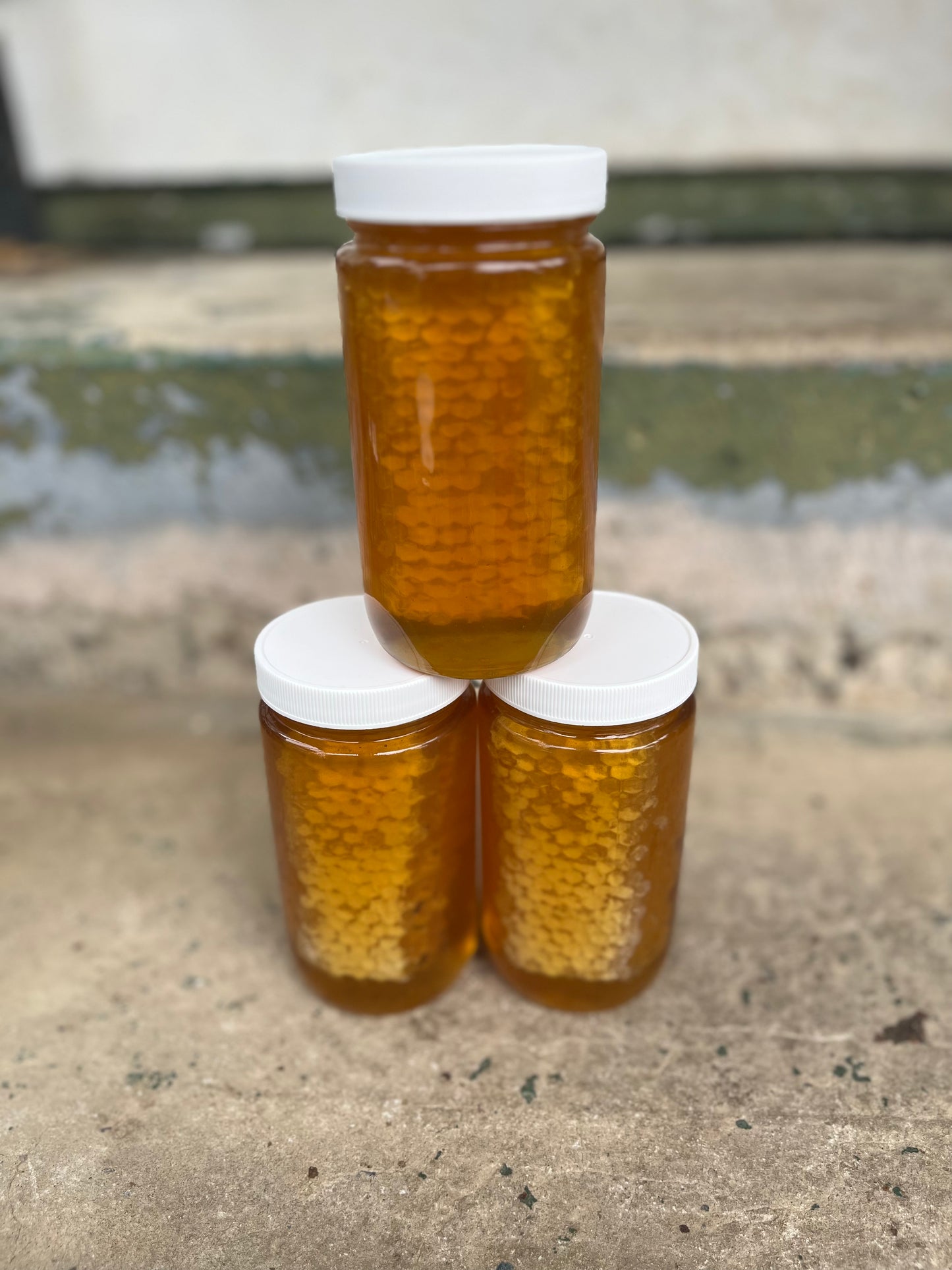 Honey - Cut Honeycomb in Honey