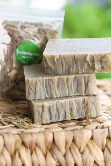 Aloe and Nettle Herbal Bar