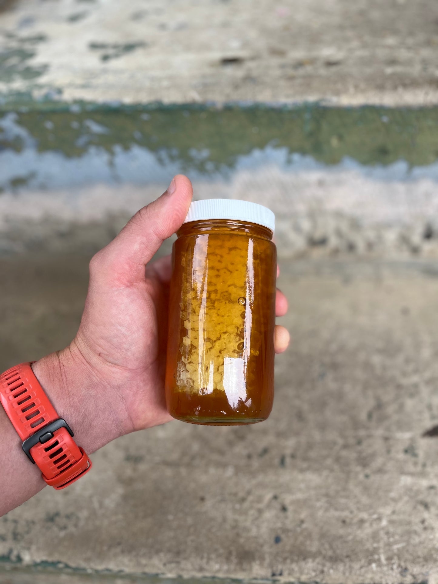 Honey - Cut Honeycomb in Honey