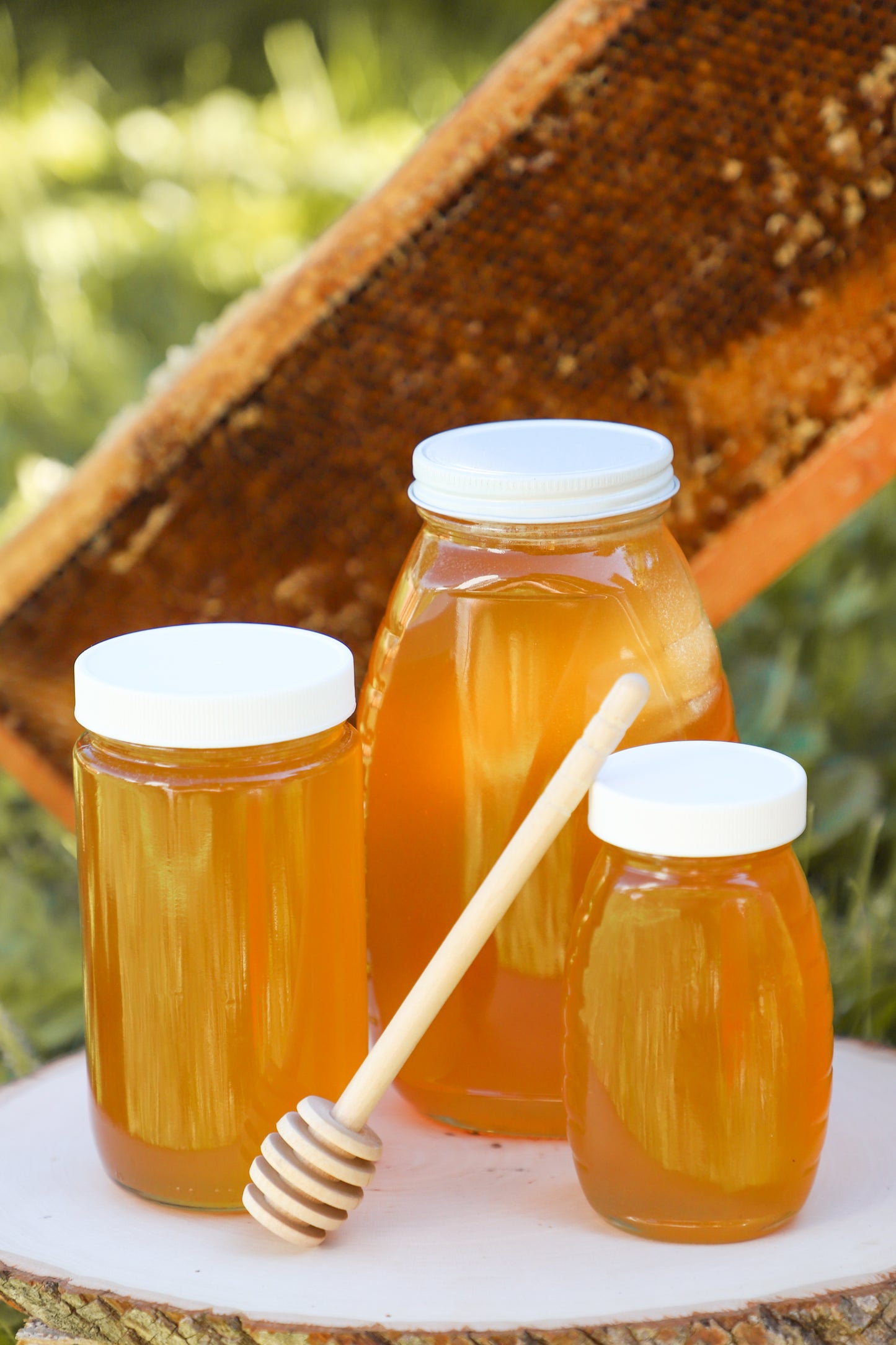 Honey - Fall Harvest (Clover & Knotweed)