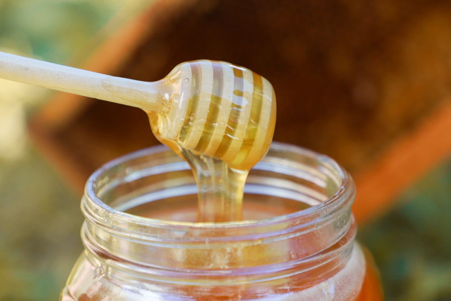 Honey - Fall Harvest (Clover & Knotweed)